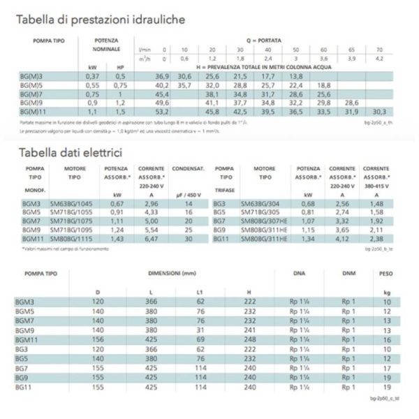 elettropompa autoadescante centrifuga lowara bgm