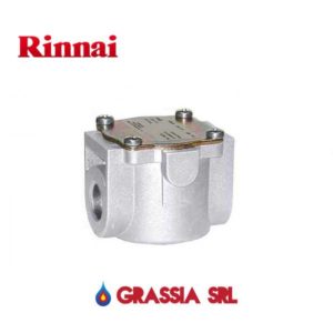 Filtro Gas Gpl Rinnai